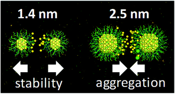 Graphical abstract: Biointeractions of ultrasmall glutathione-coated gold nanoparticles: effect of small size variations