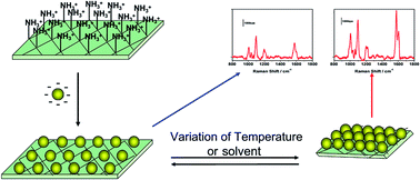 Graphical abstract: Fabrication of intelligent poly(N-isopropylacrylamide)/silver nanoparticle composite films with dynamic surface-enhanced Raman scattering effect