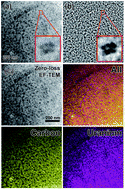 Graphical abstract: Multi-functional fluorescent carbon dots with antibacterial and gene delivery properties