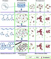 Graphical abstract: Regulating micro-structure and biomineralization of electrospun PVP-based hybridized carbon nanofibers containing bioglass nanoparticles via aging time