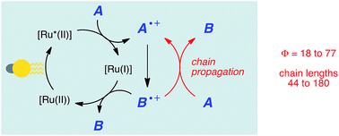 Graphical abstract: Characterizing chain processes in visible light photoredox catalysis