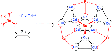 Graphical abstract: Imposing control on self-assembly: rational design and synthesis of a mixed-metal, mixed-ligand coordination cage containing four types of component