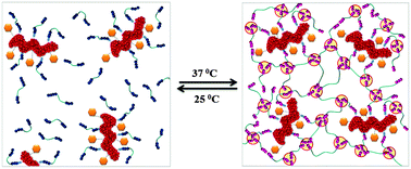 Graphical abstract: Heparin-based temperature-sensitive injectable hydrogels for protein delivery