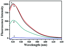 Graphical abstract: Cobalt oxyhydroxide nanoflake based fluorescence sensing platform for label-free detection of DNA