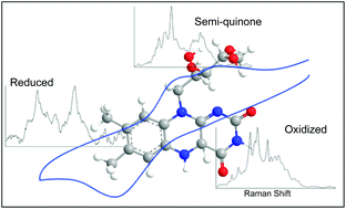 Graphical abstract: SERS speciation of the electrochemical oxidation–reduction of riboflavin