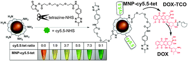 Graphical abstract: In situ activation of a doxorubicin prodrug using imaging-capable nanoparticles