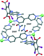 Graphical abstract: Coordination networks incorporating halogen-bond donor sites and azobenzene groups