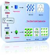 Graphical abstract: Network diversity through two-step crystal engineering of a decorated 6-connected primary molecular building block