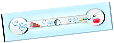 Graphical abstract: Self-propelled autonomous nanomotors meet microfluidics