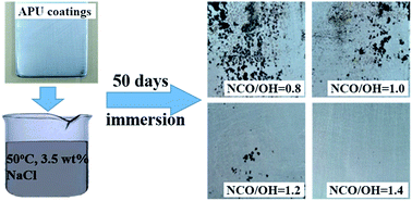 Graphical abstract: Electrochemical impedance spectroscopy (EIS) study on the degradation of acrylic polyurethane coatings