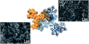 Graphical abstract: Adsorption properties of pyridylphenylene dendrimers
