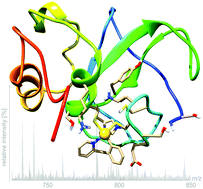 Graphical abstract: Selective targeting of PARP-1 zinc finger recognition domains with Au(iii) organometallics