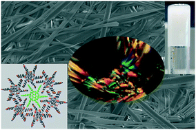 Graphical abstract: Benzene-1,3,5-tricarboxamide n-alkyl ester and carboxylic acid derivatives: tuneable structural, morphological and thermal properties