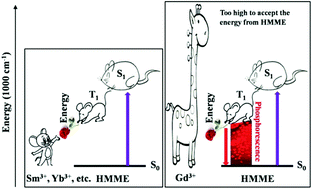 Graphical abstract: Influence of lanthanide ion energy levels on luminescence of corresponding metalloporphyrins