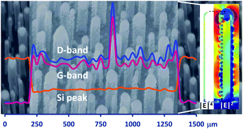Graphical abstract: Origin of enhancement in Raman scattering from Ag-dressed carbon-nanotube antennas: experiment and modelling
