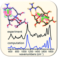 Graphical abstract: Guanidinium/ammonium competition and proton transfer in the interaction of the amino acid arginine with the tetracarboxylic 18-crown-6 ionophore