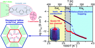 Graphical abstract: Dynamics and ionic conductivity of ionic liquid crystals forming a hexagonal columnar mesophase
