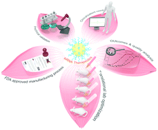 Graphical abstract: Engineering functional inorganic–organic hybrid systems: advances in siRNA therapeutics