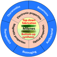 Graphical abstract: Two-dimensional transition metal carbides and nitrides (MXenes) for biomedical applications