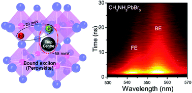 Graphical abstract: Identification of high-temperature exciton states and their phase-dependent trapping behaviour in lead halide perovskites