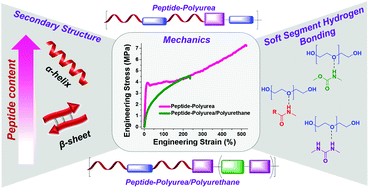 Graphical abstract: Synthetic approach to tailored physical associations in peptide-polyurea/polyurethane hybrids