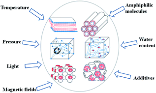 Graphical abstract: Factors affecting the structure of lyotropic liquid crystals and the correlation between structure and drug diffusion