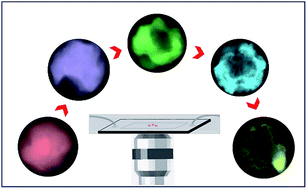 Graphical abstract: Galvanic reactions at the single-nanoparticle level: tuning between mechanistic extremes