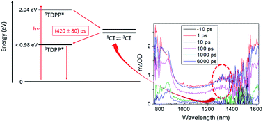 Graphical abstract: Ultra-fast spin-mixing in a diketopyrrolopyrrole monomer/fullerene blend charge transfer state