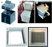 Graphical abstract: Single board computing system for automated colorimetric analysis on low-cost analytical devices