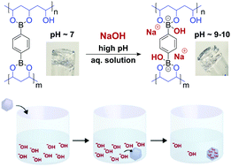 Graphical abstract: Polyvinyl alcohol–boronate gel for sodium hydroxide extraction