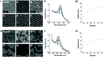 Graphical abstract: Size-controlled and water-soluble gold nanoparticles using UV-induced ligand exchange and phase transfer