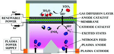 Graphical abstract: Synergistic plasma-assisted electrochemical reduction of nitrogen to ammonia