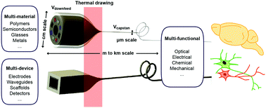 Graphical abstract: Flexible fiber-based optoelectronics for neural interfaces