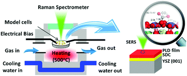 Graphical abstract: A highly active, CO2-tolerant electrode for the oxygen reduction reaction