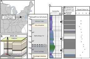 Graphical abstract: Microbial lipid biomarkers detected in deep subsurface black shales