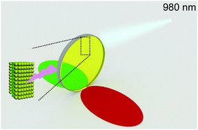 Graphical abstract: Separating and enhancing the green and red emissions of NaYF4:Yb3+/Er3+ by sandwiching them into photonic crystals with different bandgaps