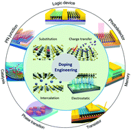 Graphical abstract: Doping engineering and functionalization of two-dimensional metal chalcogenides