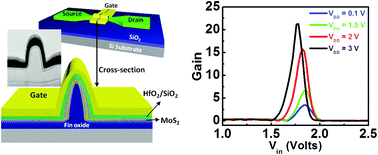 Graphical abstract: Scalable fabrication of a complementary logic inverter based on MoS2 fin-shaped field effect transistors