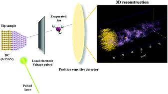 Graphical abstract: Atomically resolved calcium phosphate coating on a gold substrate