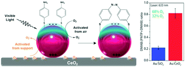 Graphical abstract: Marrying SPR excitation and metal–support interactions: unravelling the contribution of active surface species in plasmonic catalysis