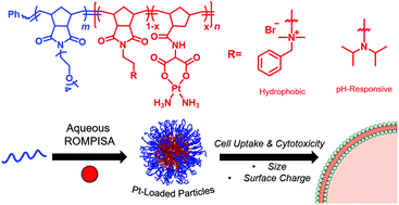 Graphical abstract: Ring-opening metathesis polymerization-induced self-assembly (ROMPISA) of a cisplatin analogue for high drug-loaded nanoparticles