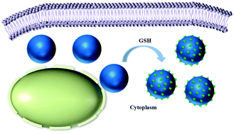 Graphical abstract: Protrusion of nanospikes on cholesterol-containing microgels by reduction-responsive self-assembly in cell milieu and its influence on cell functions