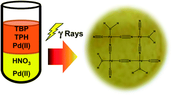 Graphical abstract: Characterization of palladium species after γ-irradiation of a TBP–alkane–Pd(NO3)2 system