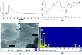 Graphical abstract: Ameliorative effect of biofabricated ZnO nanoparticles of Trianthema portulacastrum Linn. on dermal wounds via removal of oxidative stress and inflammation