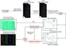 Graphical abstract: Variety identification of oat seeds using hyperspectral imaging: investigating the representation ability of deep convolutional neural network