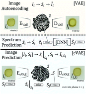 Graphical abstract: Machine learning of optical properties of materials – predicting spectra from images and images from spectra