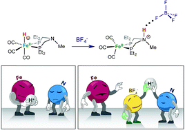 Graphical abstract: Anion control of tautomeric equilibria: Fe–H vs. N–H influenced by NH⋯F hydrogen bonding