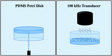 Graphical abstract: Investigation of cavitation-induced damage on PDMS films