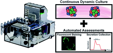 Graphical abstract: Integrated platform for operating and interrogating organs-on-chips