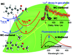 Graphical abstract: The direct observation of the doorway 1nπ* state of methylcinnamate and hydrogen-bonding effects on the photochemistry of cinnamate-based sunscreens